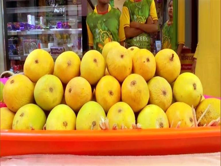 Alphonso mango season ends early due to environmental changes