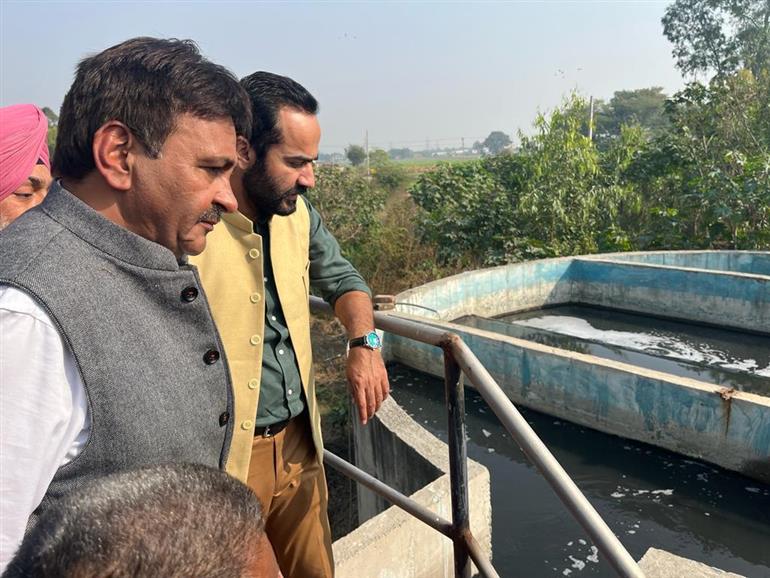 Punjab to use STPs treated water for irrigationMeet Hayer