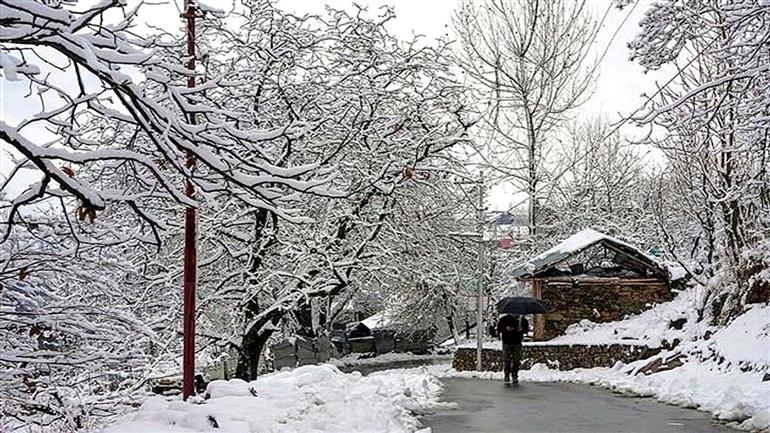 Fresh snowfall in Himachal brings sharp dip in temperature
