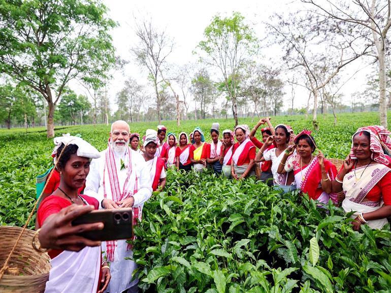 Assam, Bengal tea producers urge PM Modi to withdraw notification mandating 50% sale through auctions