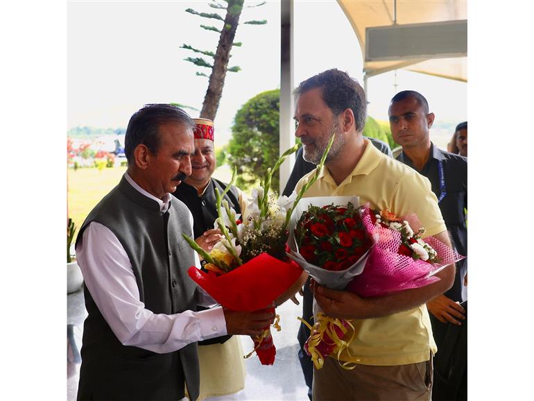 Rahul Gandhi lands in Himachal's Kangra to attend Congress Training Session