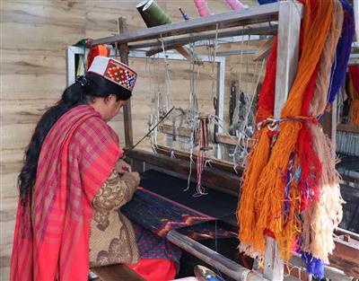 Masterpieces of finesse, Himachali shawls gaining global prominence  
