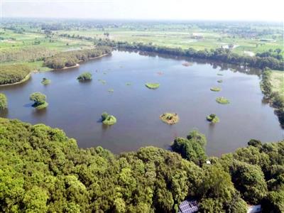 Shekha Jheel Bird Sanctuary in UP added to Ramsar list, marking 12th site in state and 99th in India