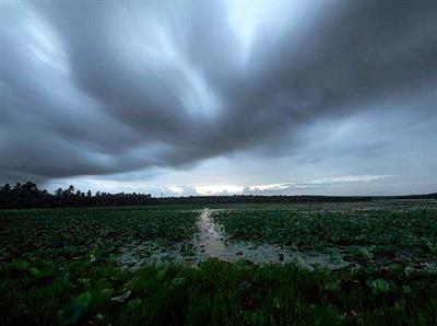 3 die as violent storms sweep across Punjab
